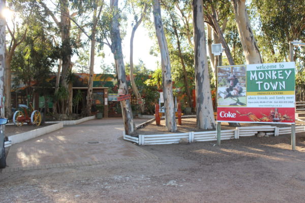 9 Monkey Town N2 SSW